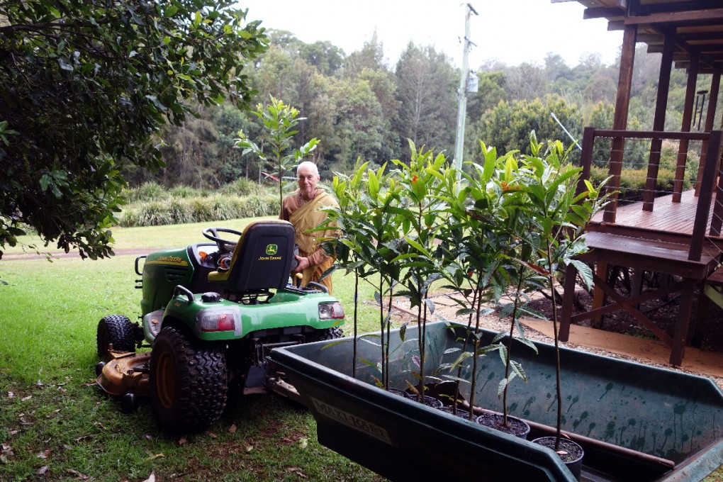 Rain forest trees ready to plant.