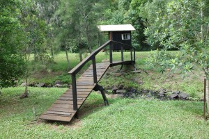 bridge 